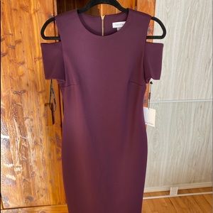 Chic Calvin Klein dress, maroon